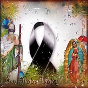 Meet your Posher, Maxi